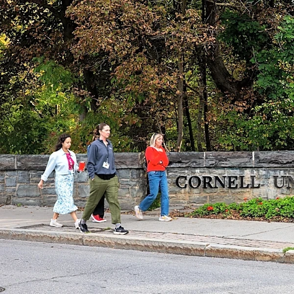 The Cornell case, explained