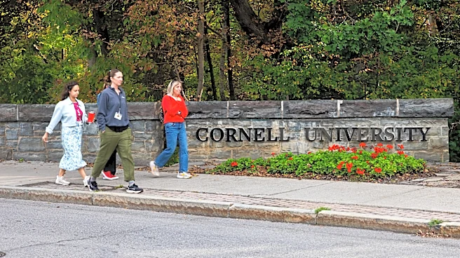 The Cornell case, explained