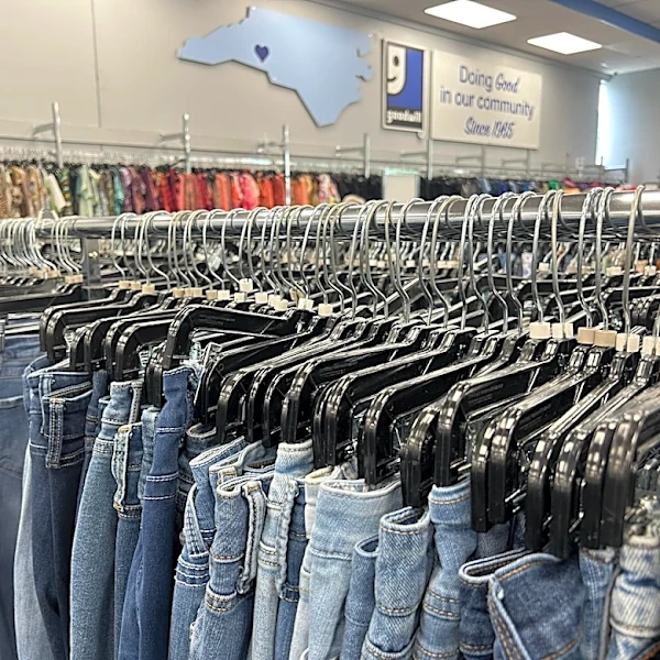 Can thrift shops save us from Shein?