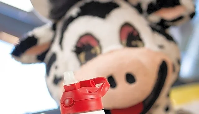 How to get Stew Leonard's new water bottle with 4 iconic characters