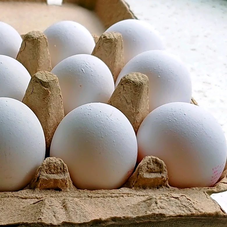 Nearly 5 million eggs are headed to New York food banks. Here's why