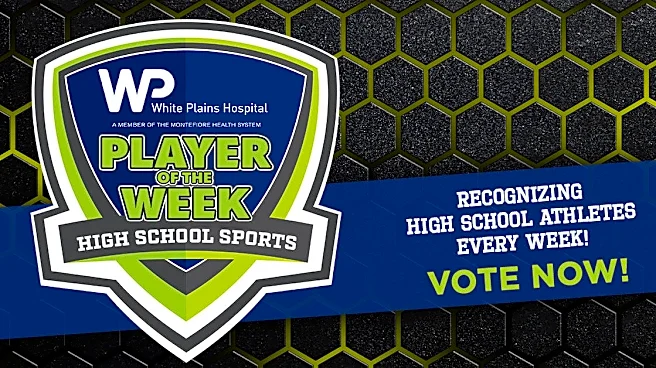 What is best HS team name in Westchester/Putnam, sponsored by White Plains Hospital?