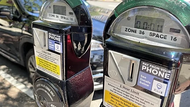 Own experiences drove White Plains parking meter changes, mayor says