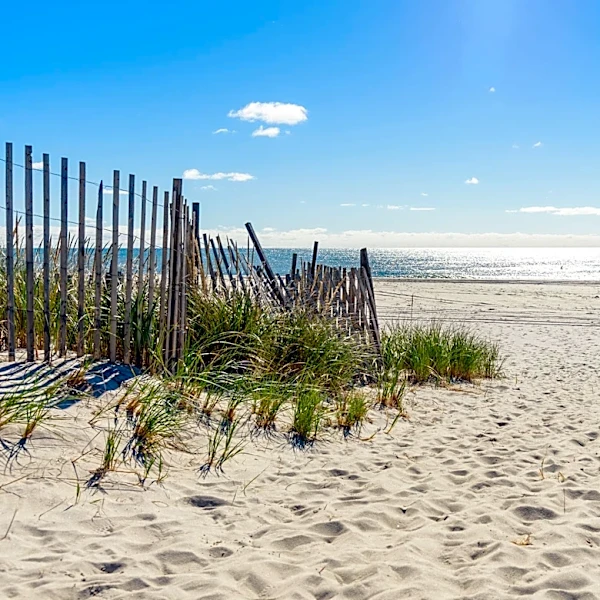 NYC-area beach advisories: These beaches have swimming warnings