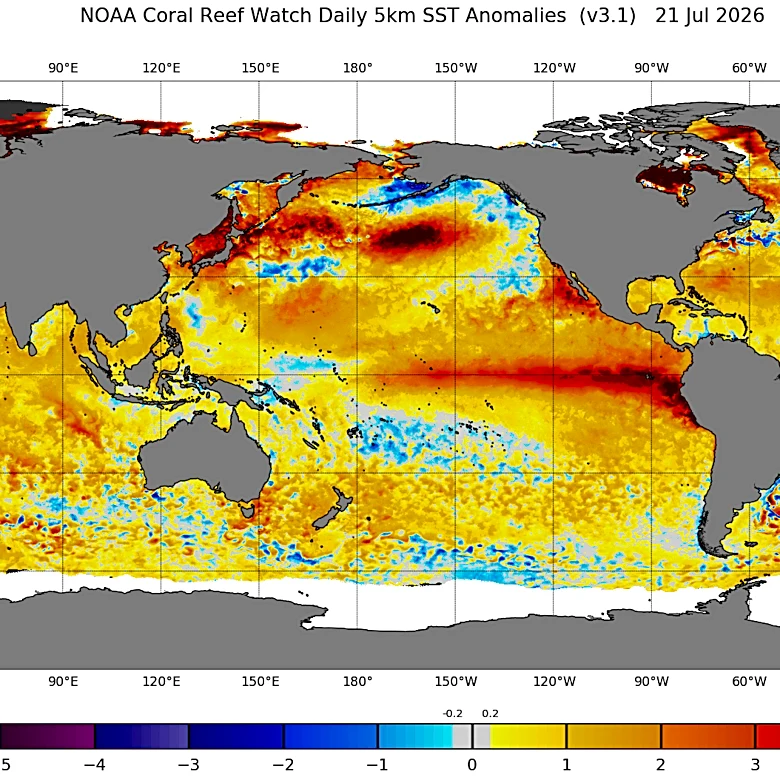 Will New York have an early winter? NOAA fall forecast offers clues