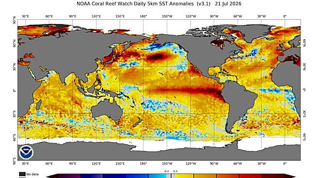Will New York have an early winter? NOAA fall forecast offers clues