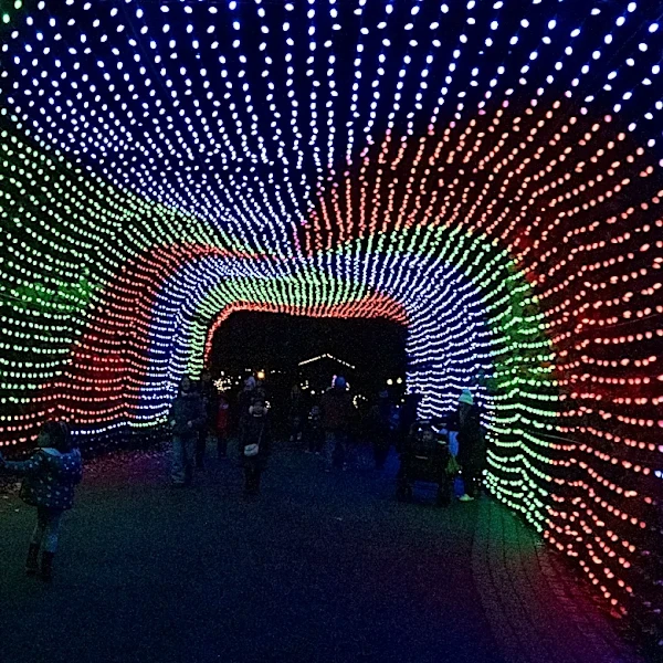 Bronx Zoo Holiday Lights 2026: Dates, tickets and what's new