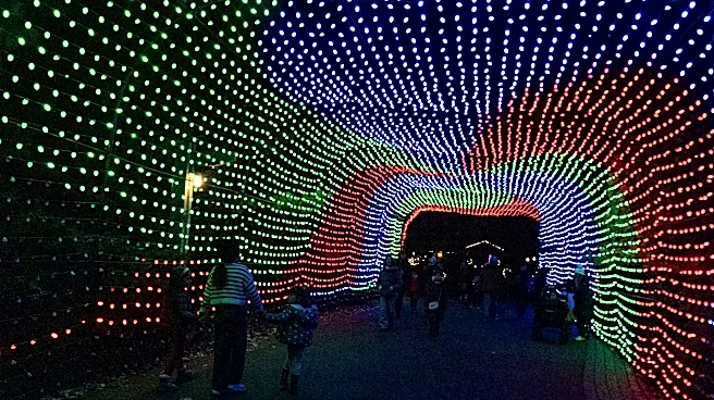 Bronx Zoo Holiday Lights 2026: Dates, tickets and what's new
