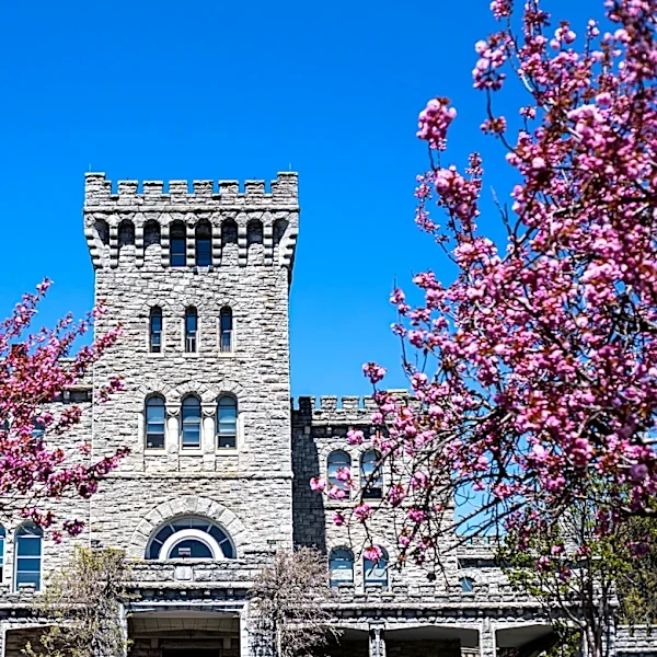 Manhattanville teacher training program reaches halfway point