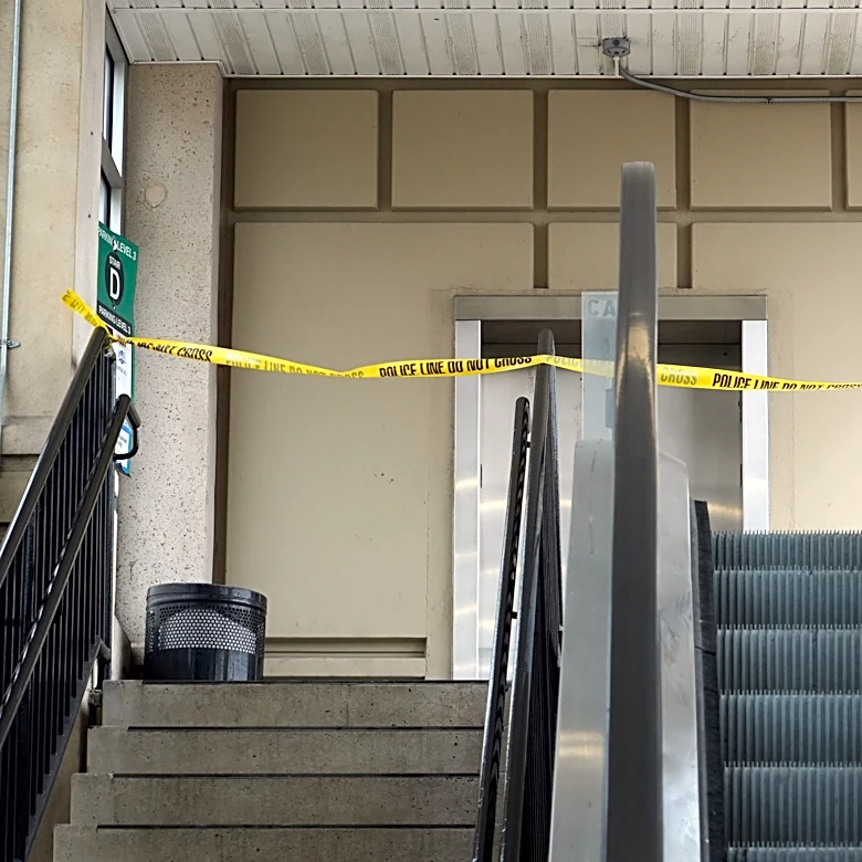 Machetes, knives involved in Port Chester parking garage fight; 4 charged