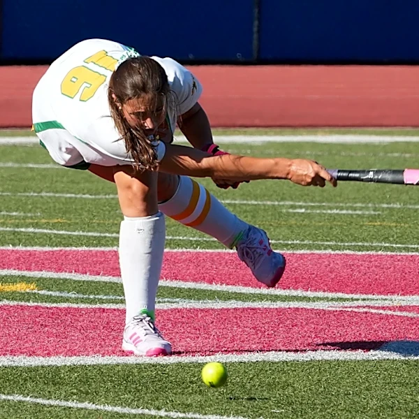 Santini. Brickman are 1-2 on lohud field hockey top scorers list