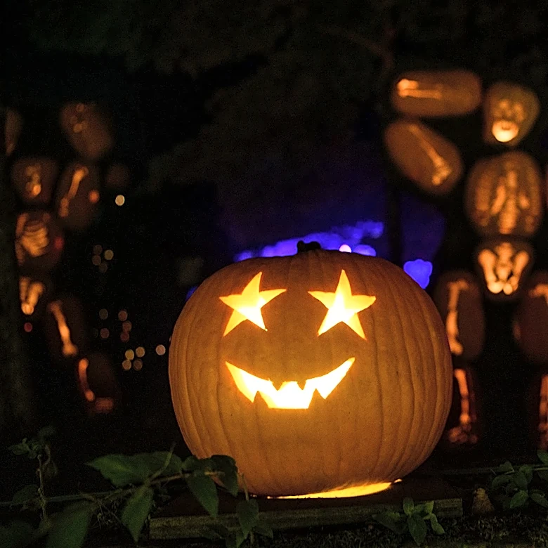 Jack O'Lantern Blaze lights up Halloween season. See photos, video