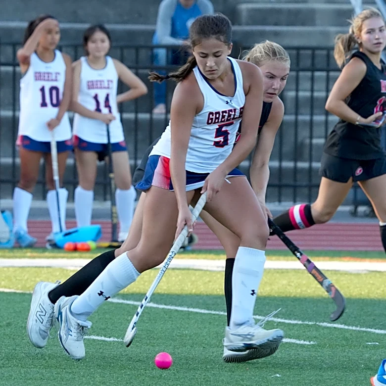 Lakeland's Santini, Mamaroneck's Brickman lead field hockey scorers