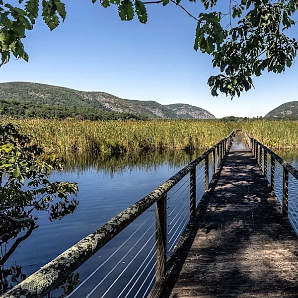 Hike Garrison NY trails and explore Constitution Marsh Audubon Center