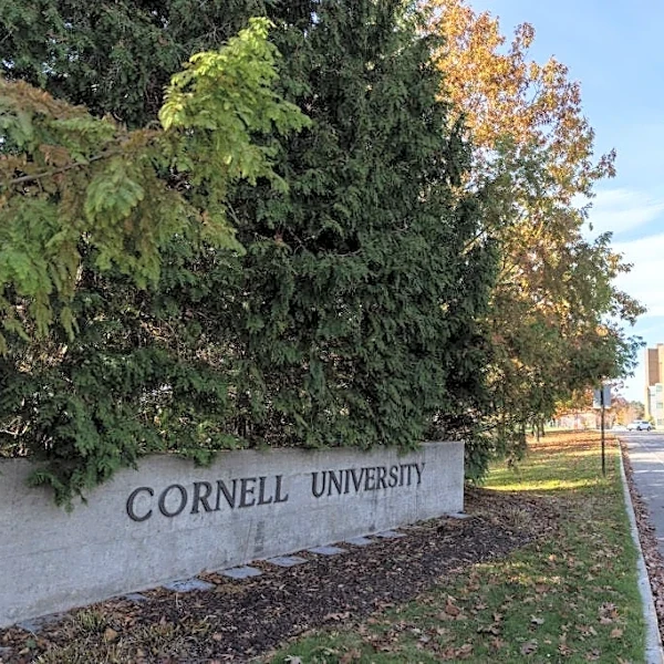 NY prosecutor reopens investigation of Cornell 'gang rape' allegations