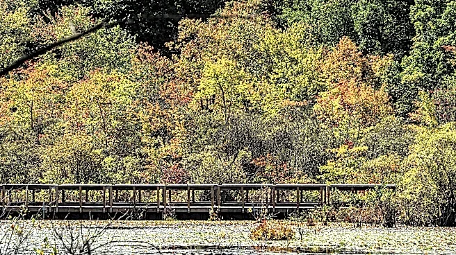Hike, explore Cranberry Lake Preserve in North White Plains this fall