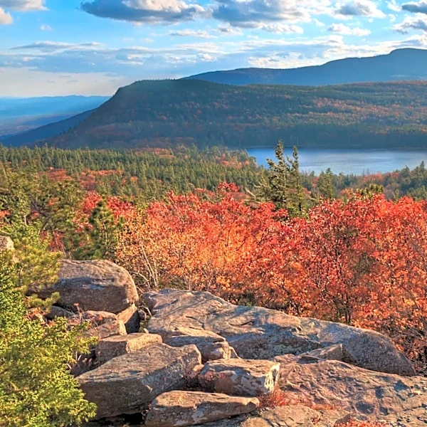 Five scenic New York drives for your next road trip