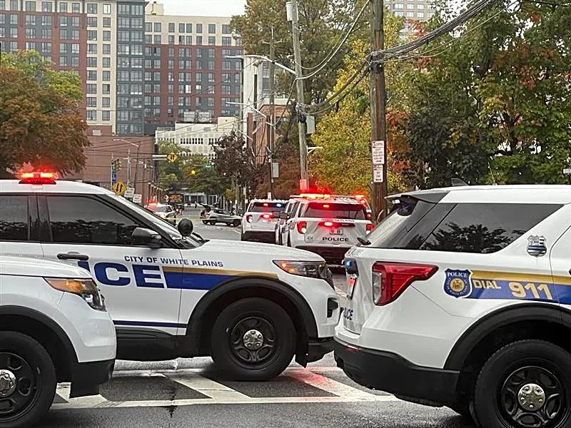 White Plains Police turnout major response, security sweep. See where
