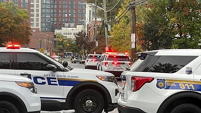 White Plains Police turnout major response, security sweep. See where