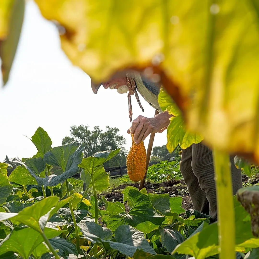 We can put America first in the fight against global hunger | Opinion
