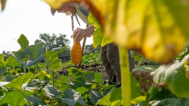 We can put America first in the fight against global hunger | Opinion