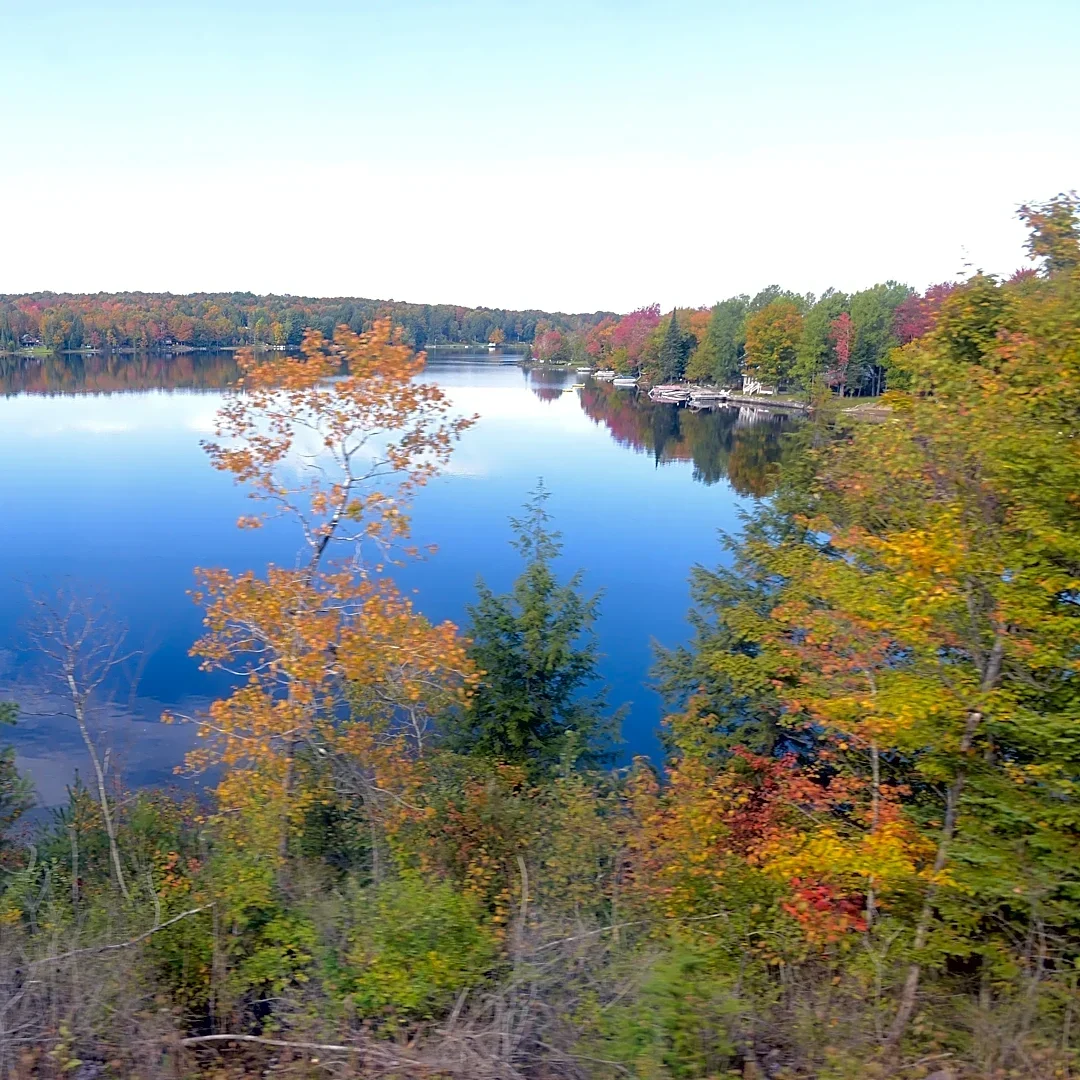 View New York fall foliage on these scenic trains