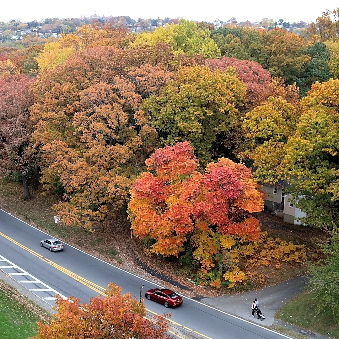 Where to see fall foliage in the Hudson Valley: 30+ scenic spots