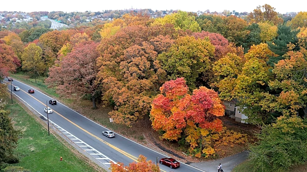 Where to see fall foliage in the Hudson Valley: 30+ scenic spots