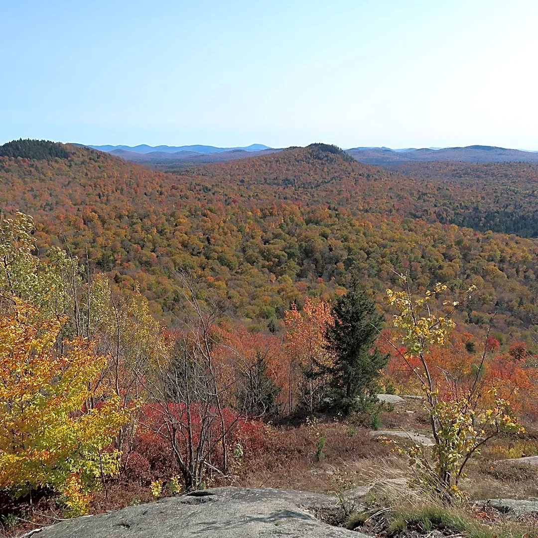 New York's Adirondacks named the best place in the US for fall foliage