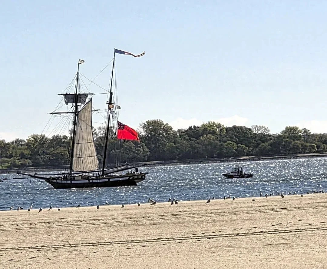 'Fight' erupts between militaries at Orchard Beach. See what happened