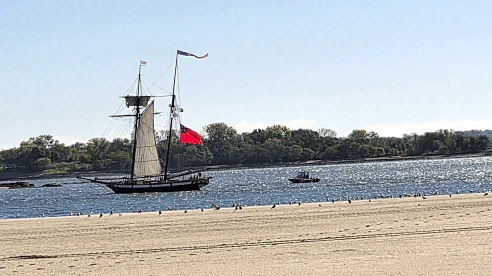 'Fight' erupts between militaries at Orchard Beach. See what happened