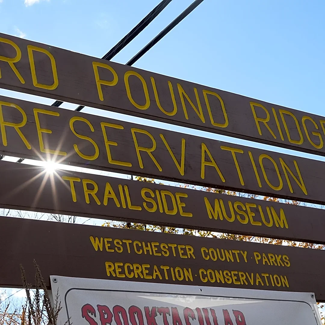 REV FEST 250 to bring Battle of White Plains reenactment, food, more