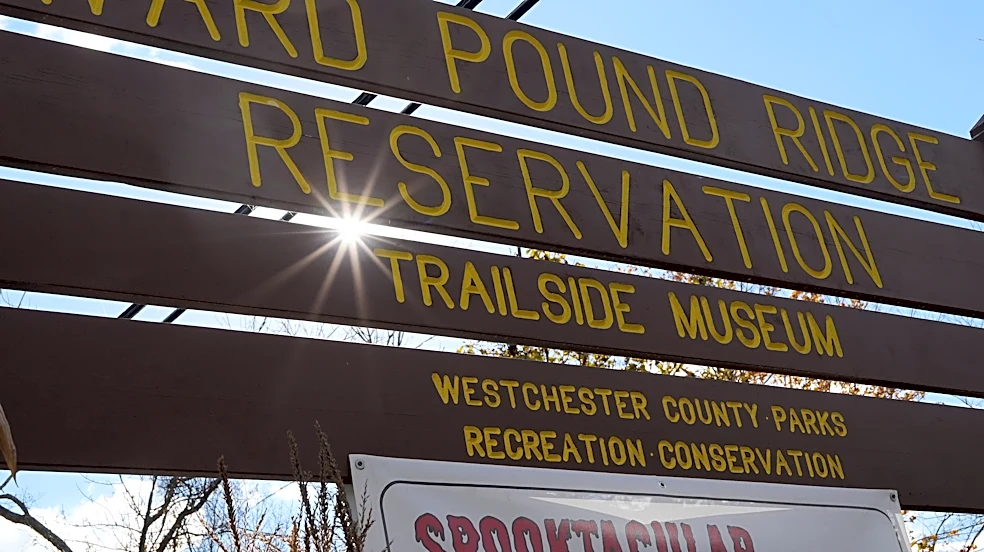 REV FEST 250 to bring Battle of White Plains reenactment, food, more