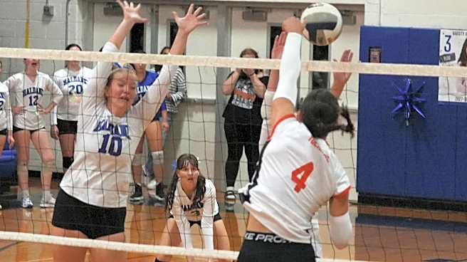 Section 1 girls volleyball tournament live brackets for every class