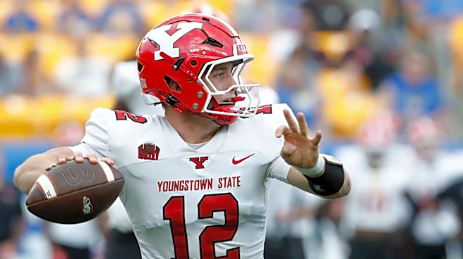 Kentucky week one opponent Youngstown St: Offensive preview
