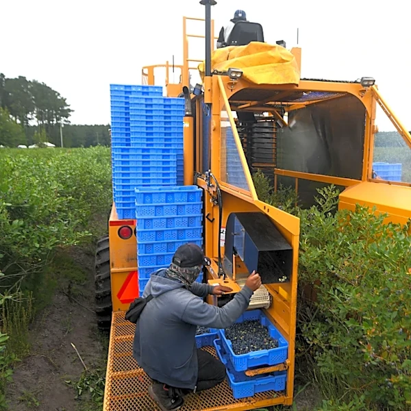 What's grown in Pender County? It's 7th in the nation for one crop