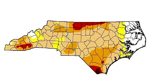 With Brunswick in extreme drought, what it'll take to ease water woes