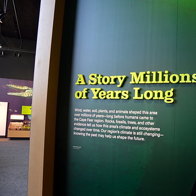 The new Cape Fear Museum is now open. Here's what you'll find.