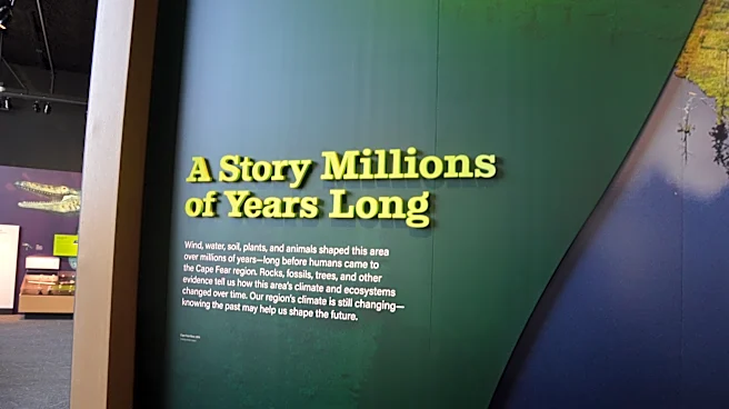 The new Cape Fear Museum is now open. Here's what you'll find.