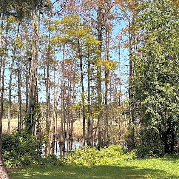 New developments, rules and legal updates happening in Brunswick