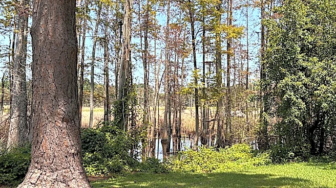 New developments, rules and legal updates happening in Brunswick