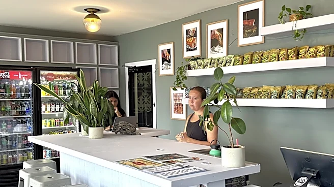 Look for drip-down-your-elbow sandwiches at this new Wilmington shop