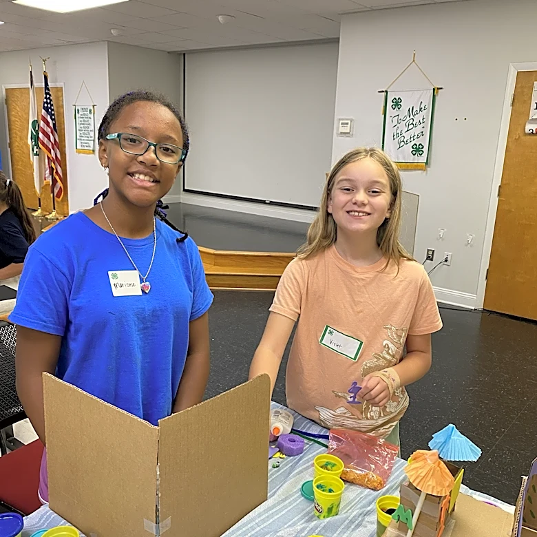 Wilmington-area youth invited to learn about STEM at 4-H event