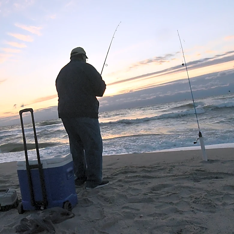 Court says NC hasn't protected its coastal fisheries. What happens now?