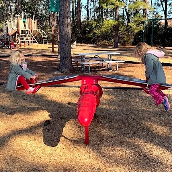 How a Wilmington influencer is pushing for improvements at county parks