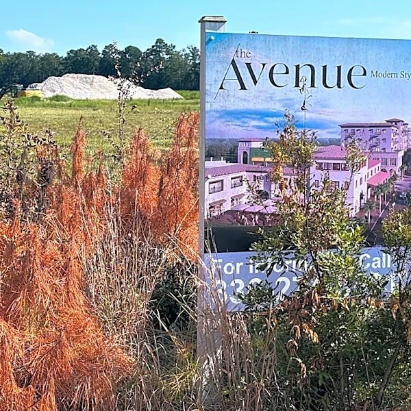 On a Wilmington road, one development growing fast while another stalls