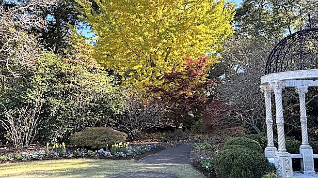 Here's why fall is the best time for planting in the Wilmington area