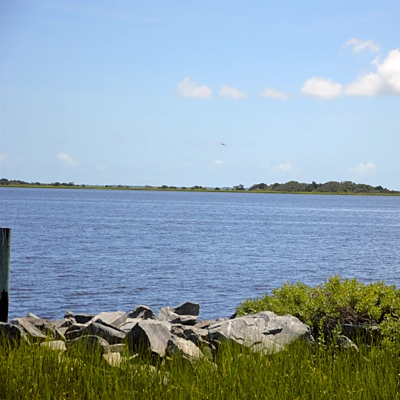 Conservation programs hinge on races few Wilmington voters know