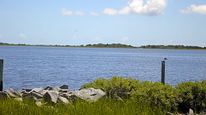 Conservation programs hinge on races few Wilmington voters know