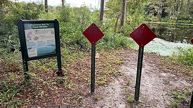 Wilmington lands state funds to rebuild park bridge